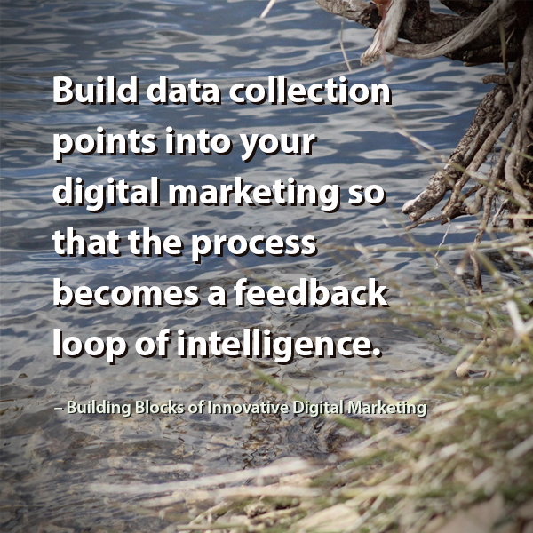 Build data collection into your digital marketing so that the process becomes a feedback loop of intelligence.